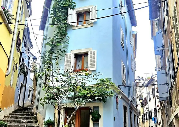 Studio Edra Piran