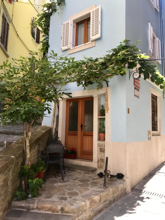 Apartment Studio Edra